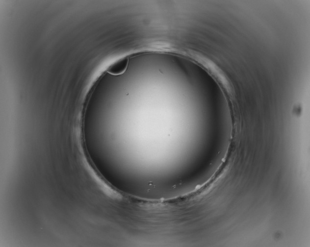 X0000101171432200807111042