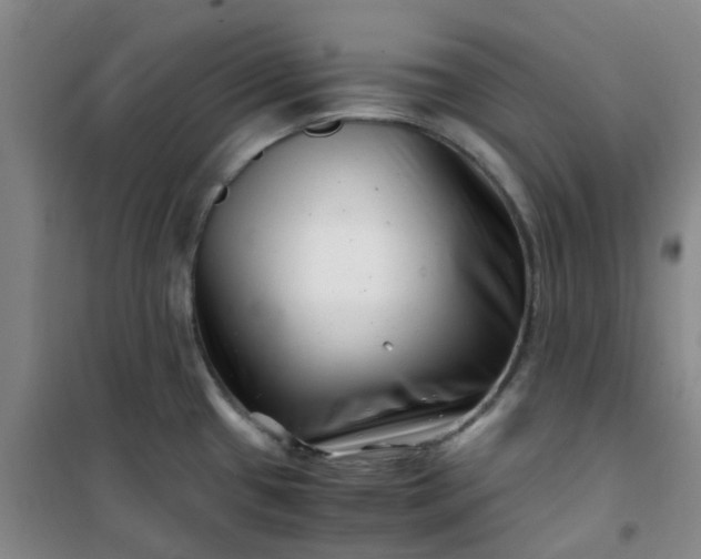 X0000101171433200807111042