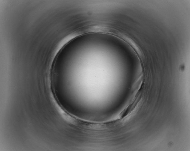 X0000101171434200807111042