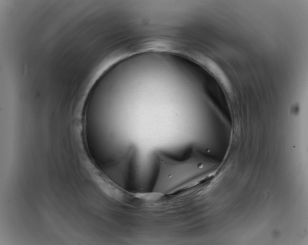 X0000101171435200807111042