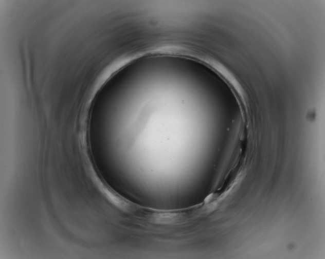 X0000101171437200807111042