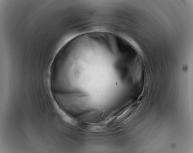 X0000101171439200807111042