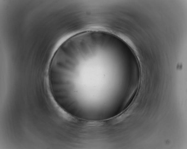 X0000101171440200807111042