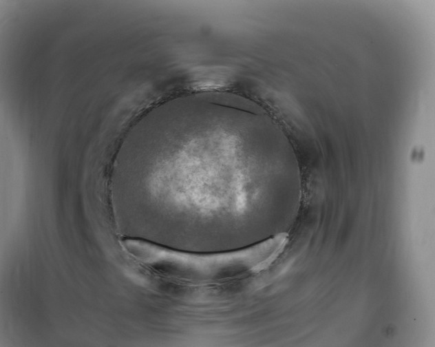 X0000101171441200807111041