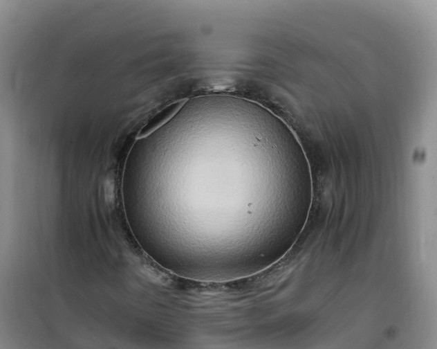 X0000101171442200807111041