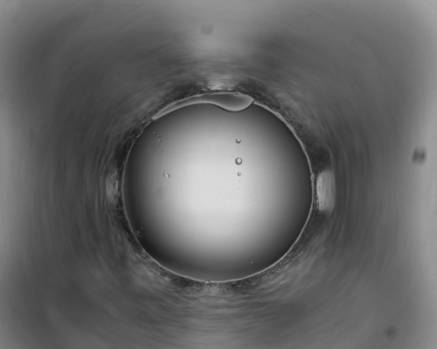X0000101171443200807111041