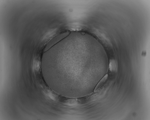 X0000101171444200807111041