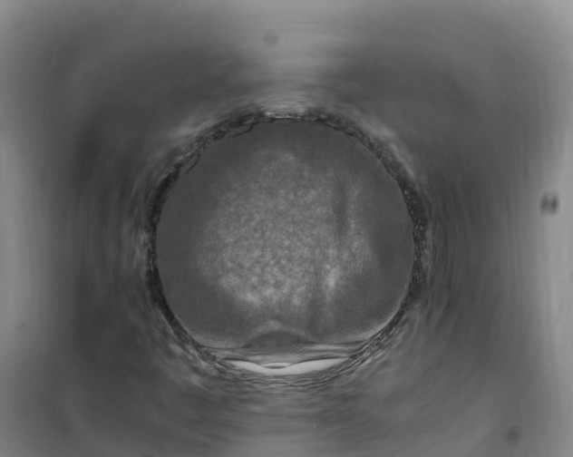 X0000101171445200807111041