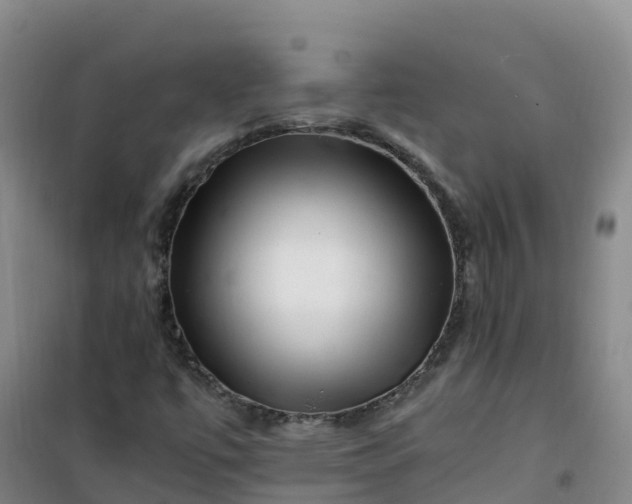 X0000101171447200807111041