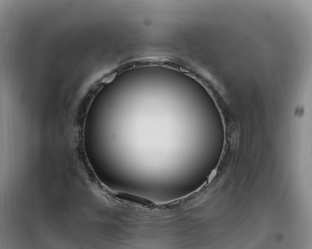 X0000101171448200807111041