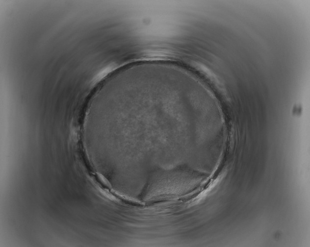 X0000101171449200807111041