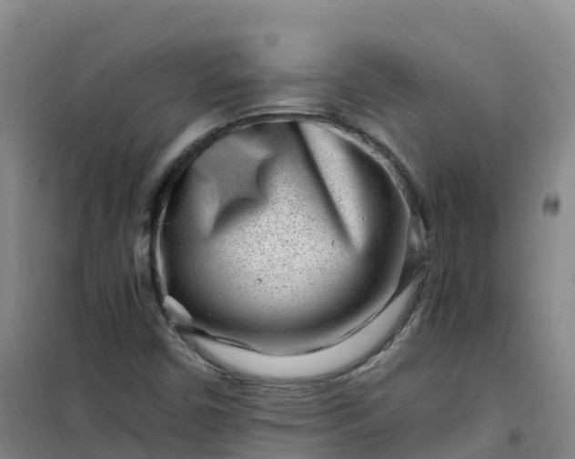 X0000101171450200807111041
