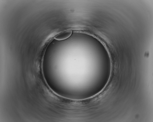 X0000101171451200807111041