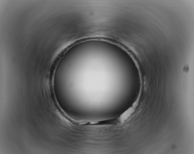 X0000101171452200807111041