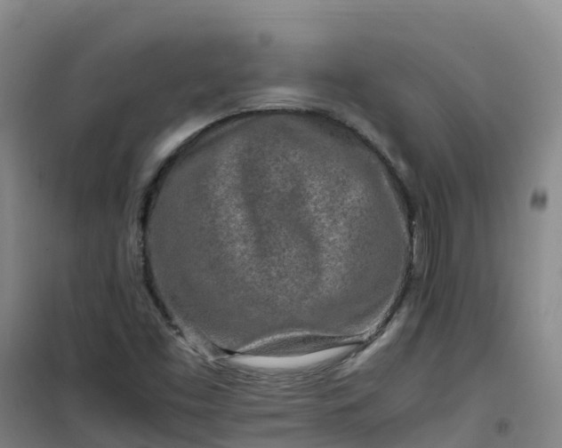 X0000101171453200807111041