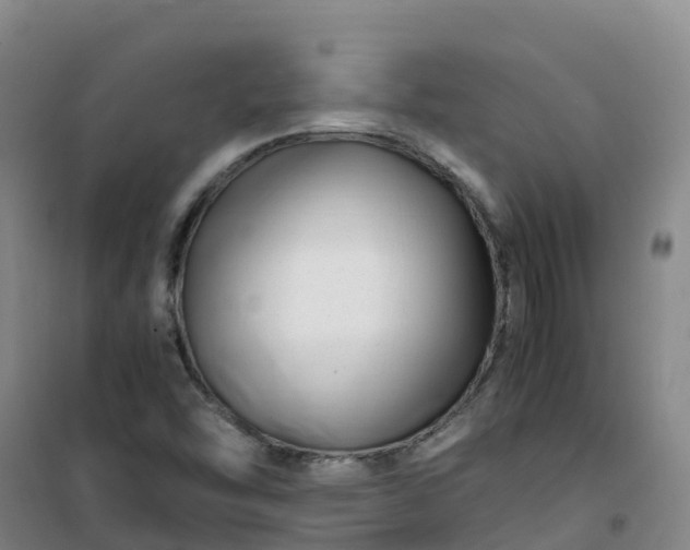X0000101171454200807111041