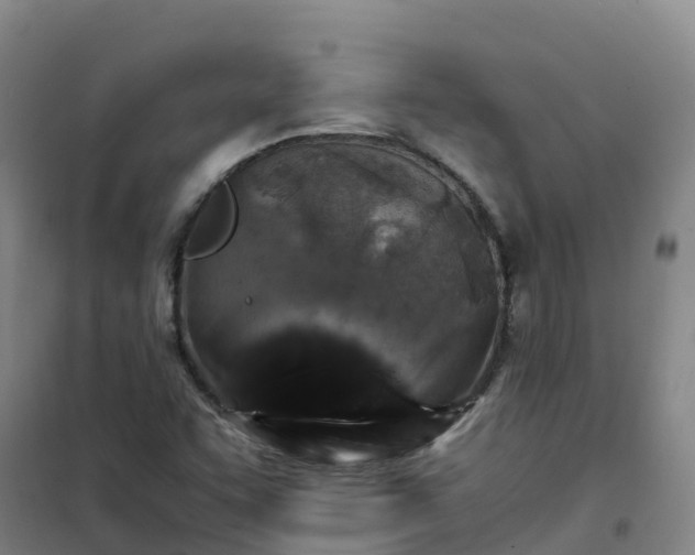 X0000101171455200807111041