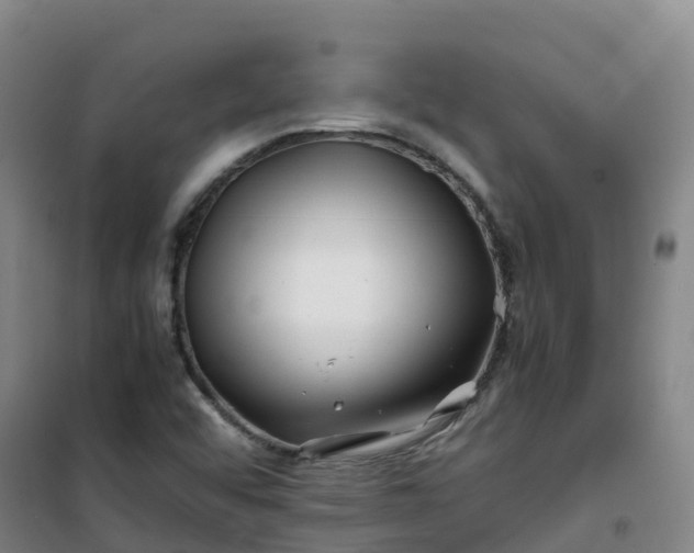 X0000101171456200807111041