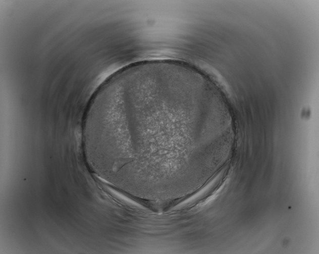 X0000101171457200807111041
