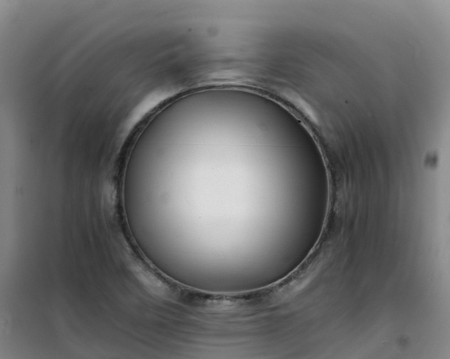 X0000101171458200807111041