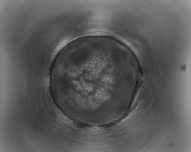 X0000101171459200807111041
