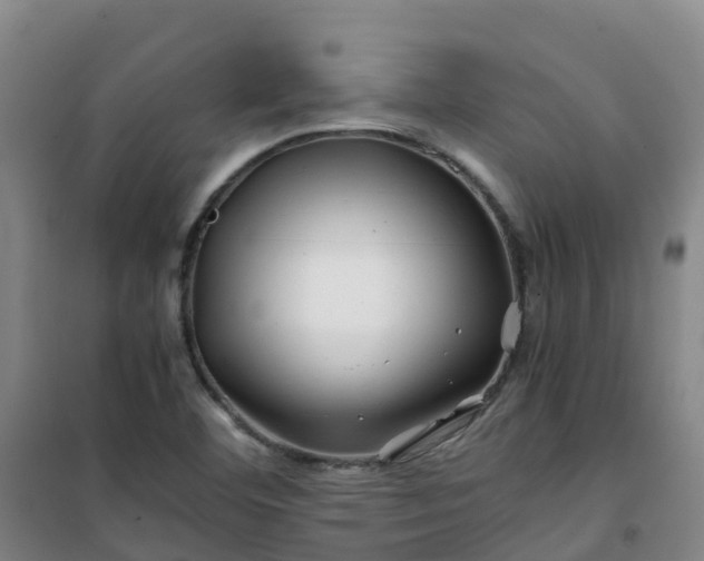 X0000101171460200807111041