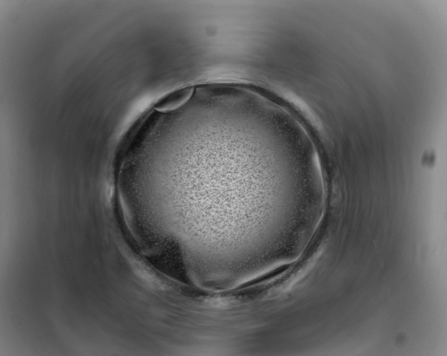 X0000101171461200807111041