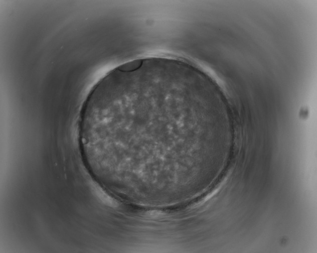 X0000101171463200807111041