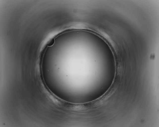 X0000101171464200807111041