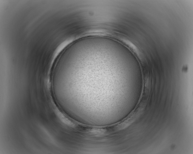 X0000101171466200807111041