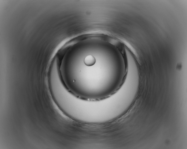 X0000101171468200807111041