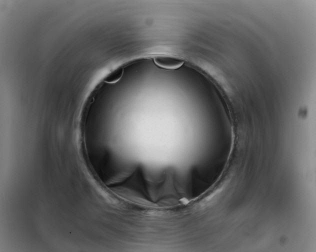 X0000101171469200807111041