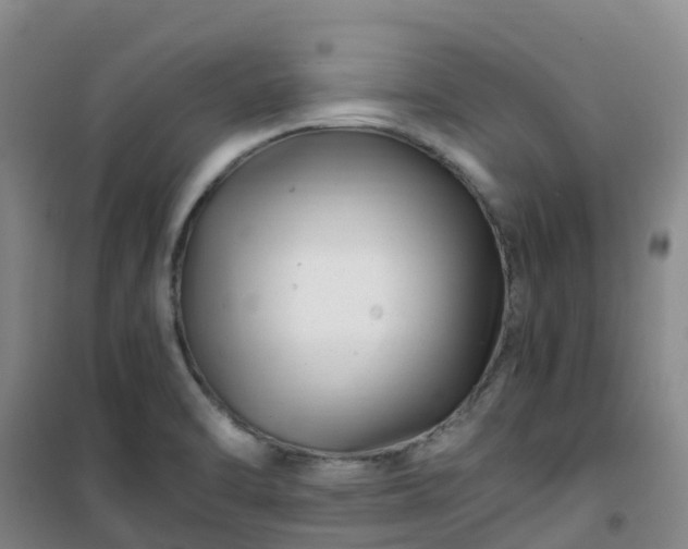 X0000101171470200807111041
