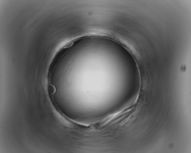 X0000101171471200807111041