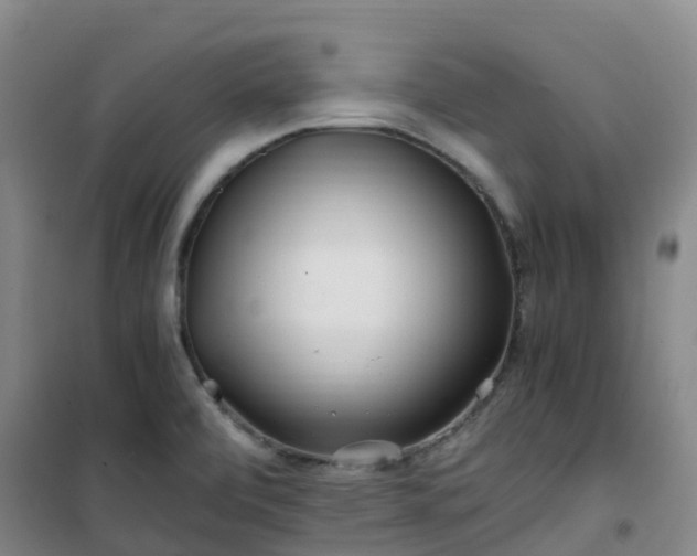 X0000101171472200807111041