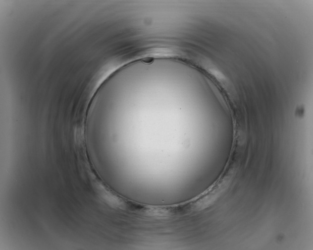 X0000101171473200807111041