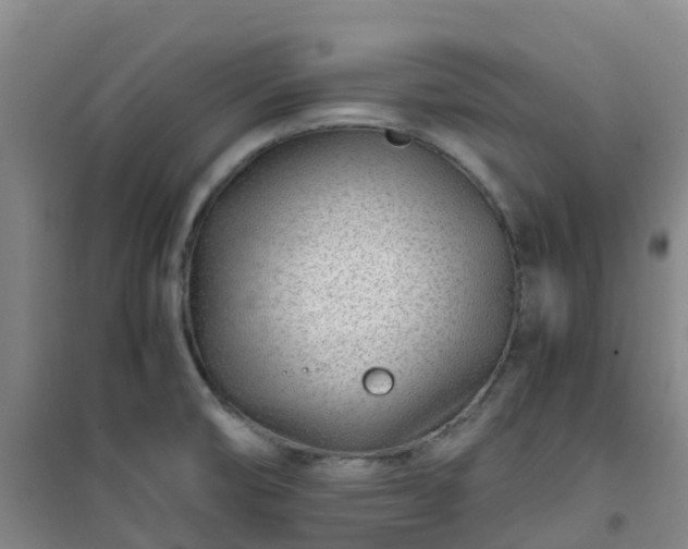 X0000101171474200807111041