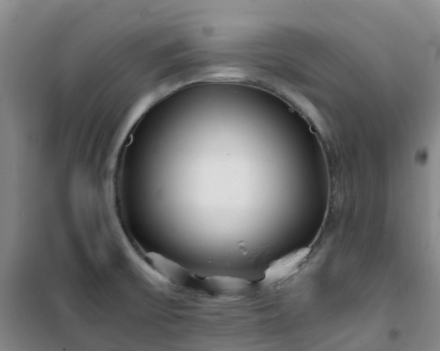 X0000101171475200807111041