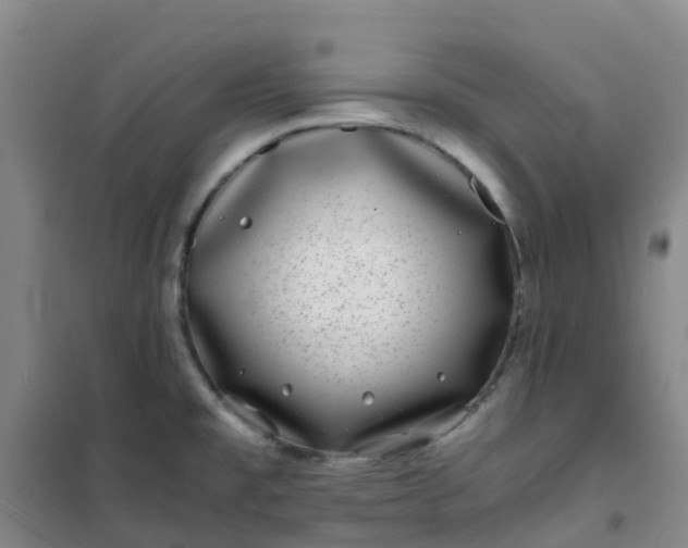 X0000101171477200807111041