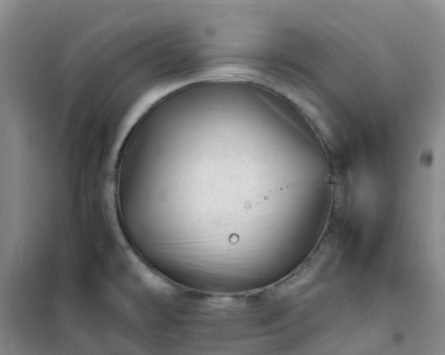 X0000101171478200807111041
