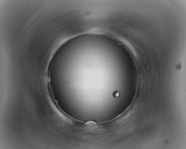 X0000101171479200807111041
