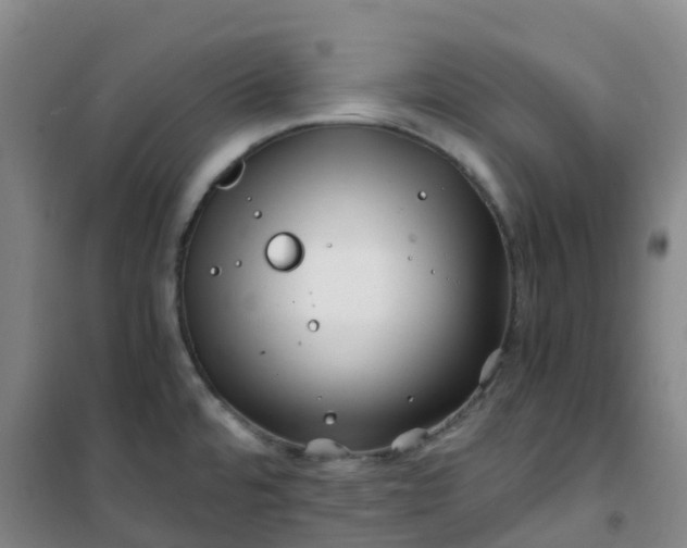 X0000101171480200807111041