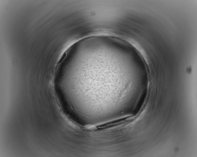 X0000101171481200807111040