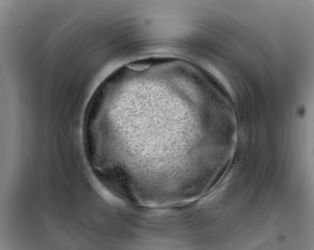 X0000101171482200807111040