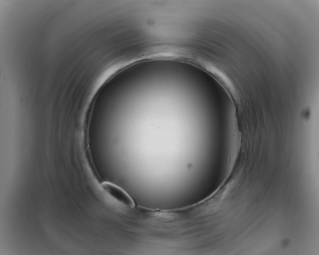 X0000101171483200807111040