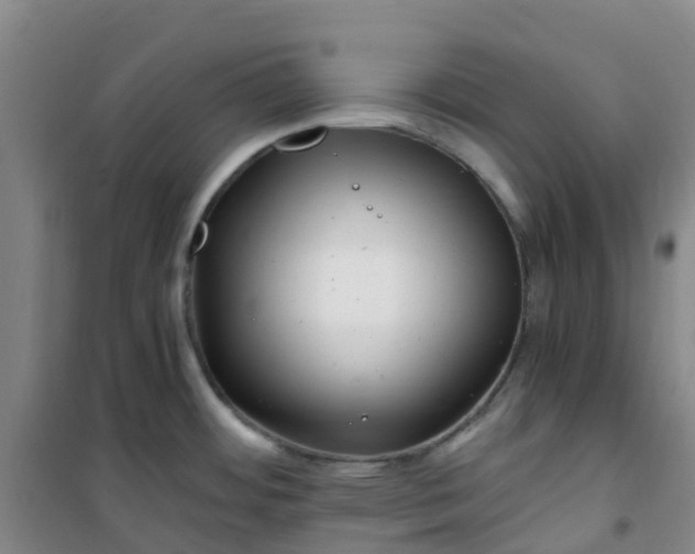 X0000101171484200807111040