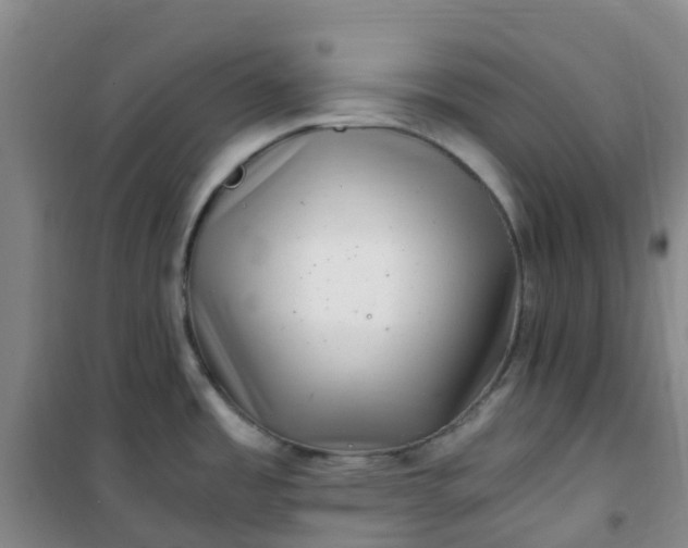 X0000101171485200807111040