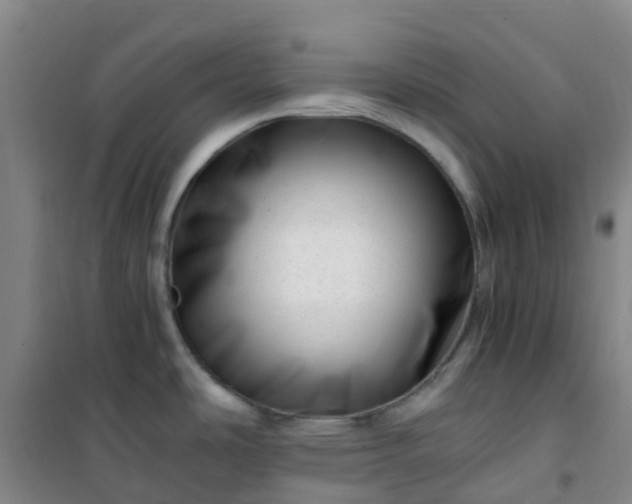 X0000101171486200807111040