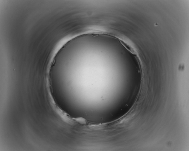 X0000101171488200807111040
