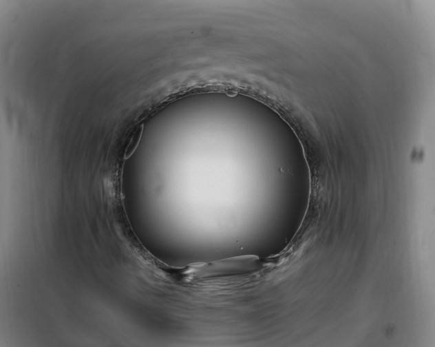 X0000101171490200807111040